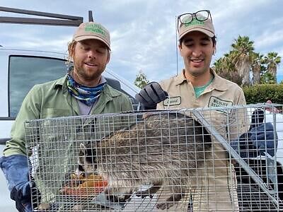 Bradenton pest control